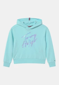 Tommy Hilfiger D Script Print Hoodie